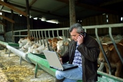 La tacite reconduction d’un bail rural de 25 ans